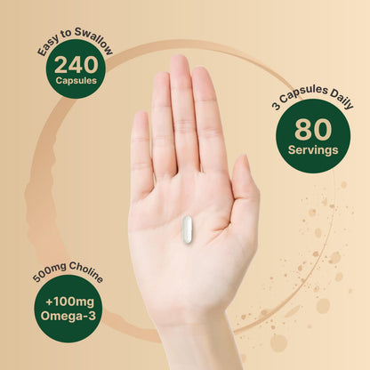 NatureBell Choline 500mg + Omega-3 - 240 Capsules | Prenatal Support & Brain Health