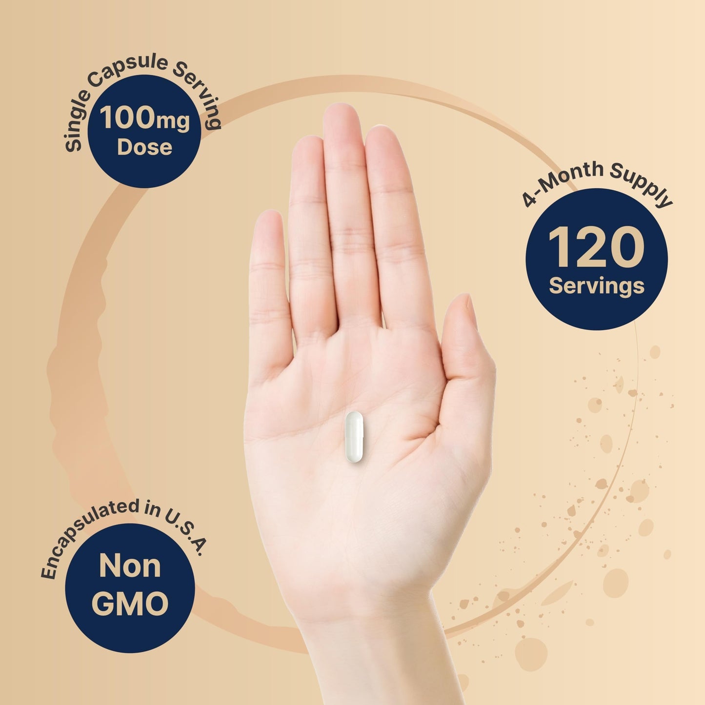 NatureBell DHEA 100mg, 240 Capsules – Max Strength Micronized DHEA for Energy, Metabolism & Healthy Aging | Non-GMO, Made in USA