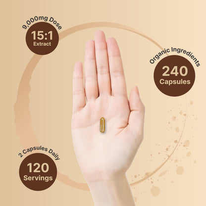 NatureBell Lion's Mane Mushroom Capsules – 240 (120-Day Supply) Organic Extract, Brain & Immune Support, Non-GMO