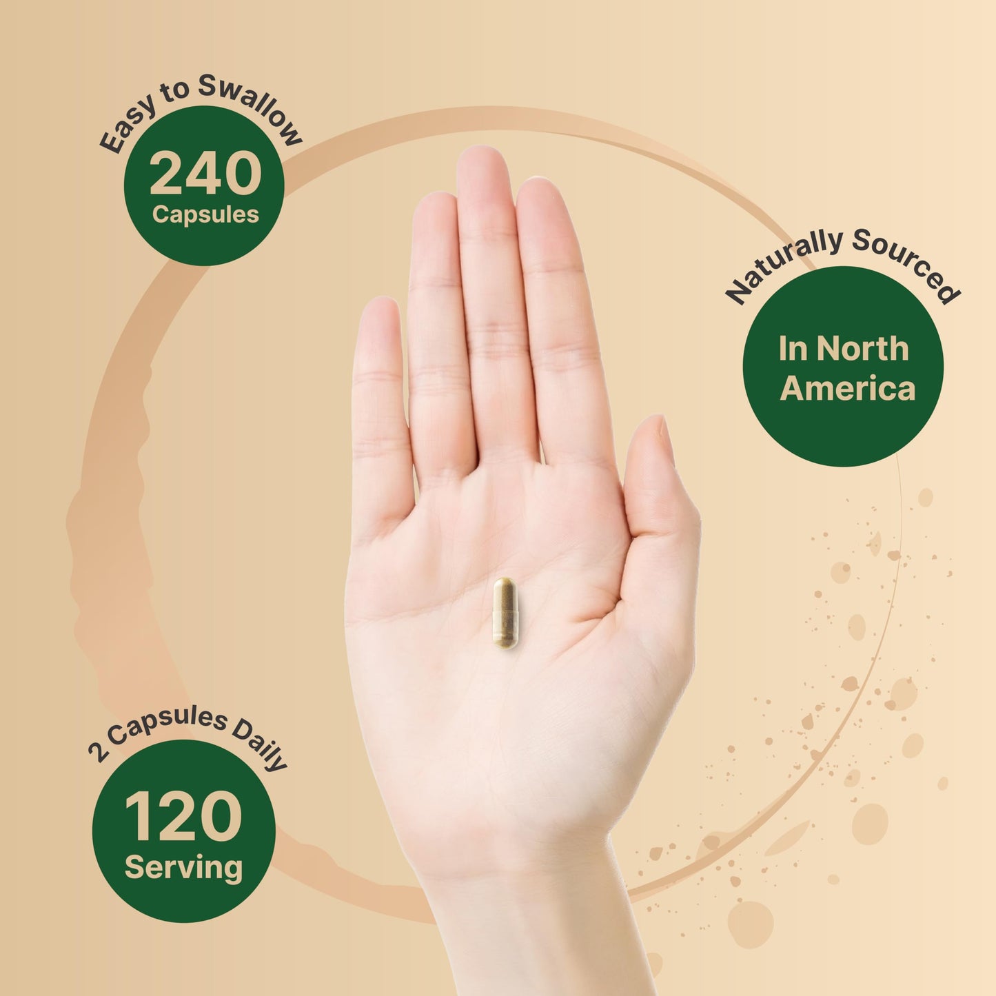 NatureBell St. John’s Wort 9,000mg | 240 Capsules | 15:1 Extract | Positive Mood Support | Non-GMO