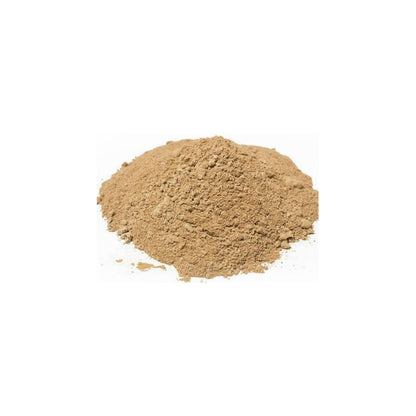 Naturejam Organic Lions Mane Mushroom Powder - 2 x 1 lb Bulk | Premium Culinary Grade for Smoothies, Coffee Substitutes