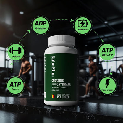 NaturElan Creatine Monohydrate Gummies – Sugar Free, No Gelatin, Vegan, Third-Party Tested | Pre-Workout & Recovery