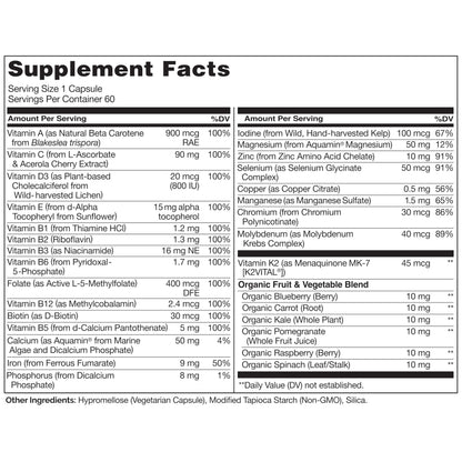 NATURELO One Daily Multivitamin for Women – 60 Ct, Energy Support, Non-GMO, Gluten Free