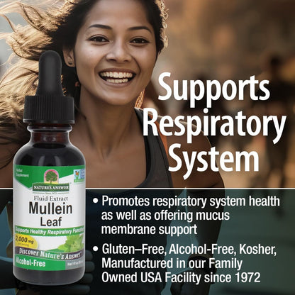 Nature's Answer Mullein Leaf Extract – Alcohol-Free, Non-GMO, Made in USA – Supports Respiratory Health | 1 oz