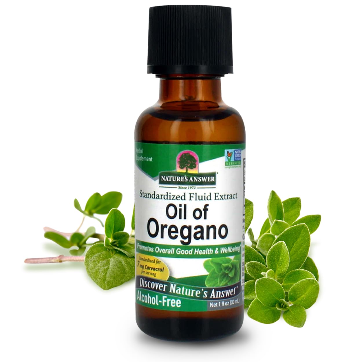 Nature's Answer Oil of Oregano Leaf – Supports Digestive Health | Gluten-Free, Alcohol-Free | 1oz