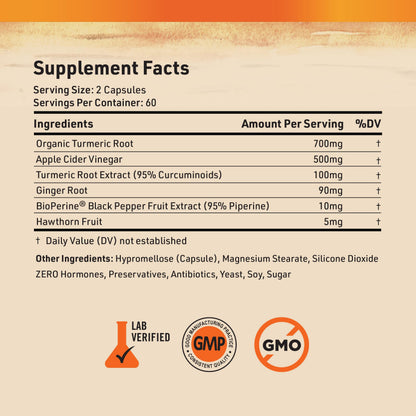 Nature's Base Turmeric & Ginger Supplement – 95% Curcuminoids, 120 Caps