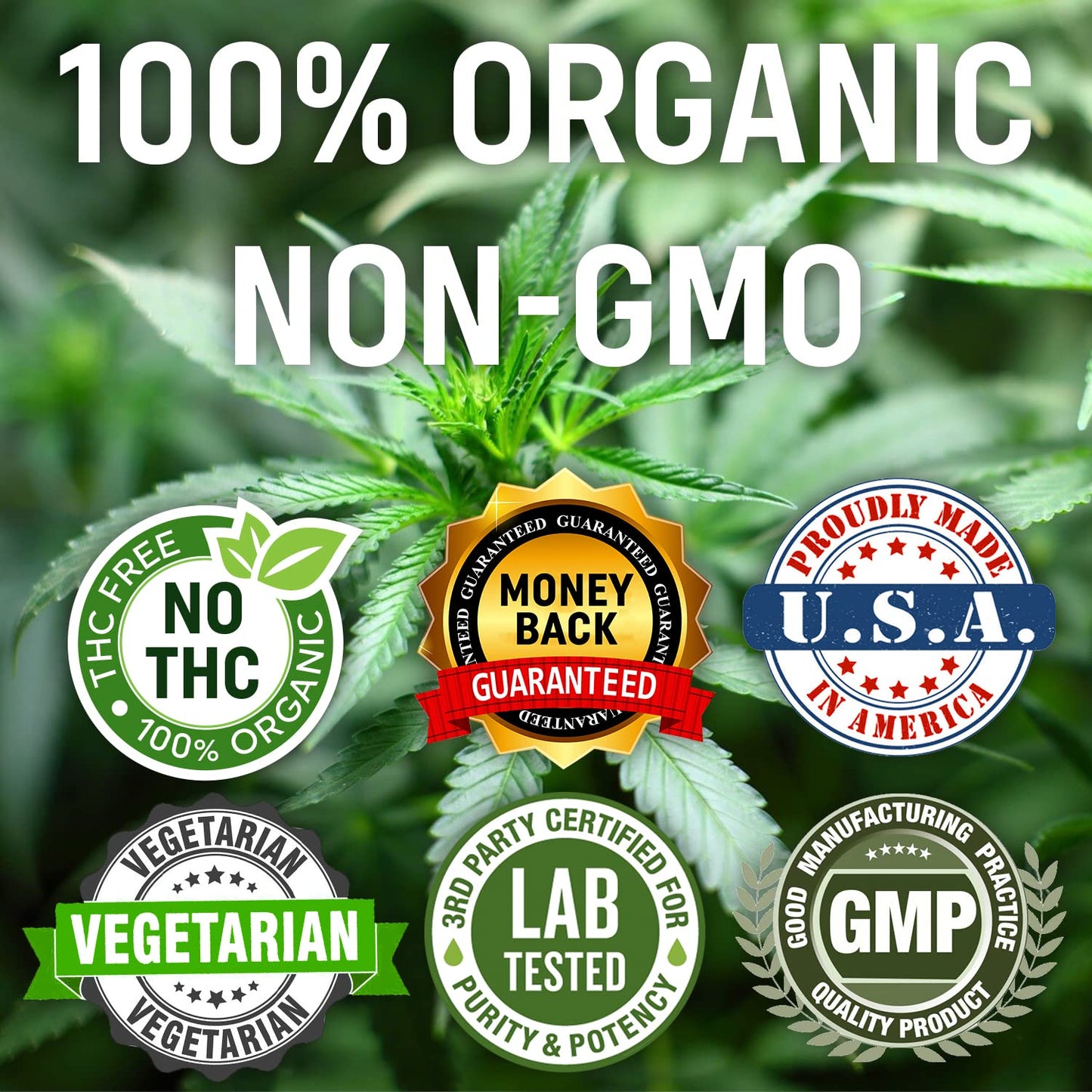 NATURE'S BENEFICIALS Organic Hemp Oil Drops 300mg | Omega 3-6-9 | Non-GMO, CO2 Extracted