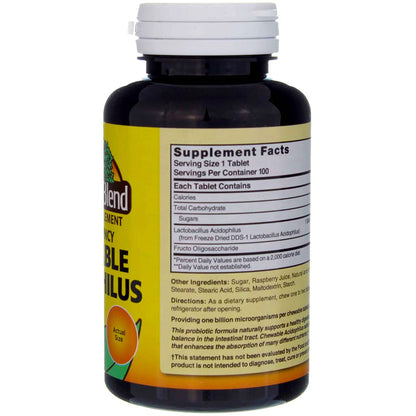 Nature's Blend Acidophilus Chewable Raspberry Flavor – 100 Tablets per Bottle, Pack of 2