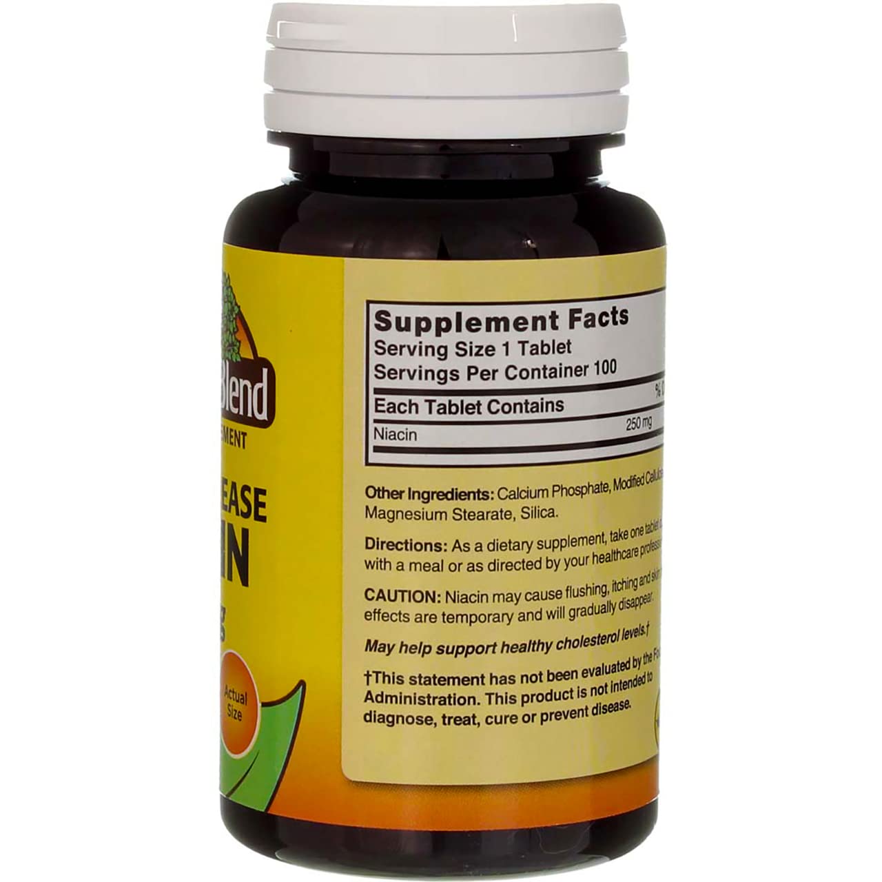 Nature's Blend Niacin Timed Release 250 mg – 100 Tabs | Gluten Free