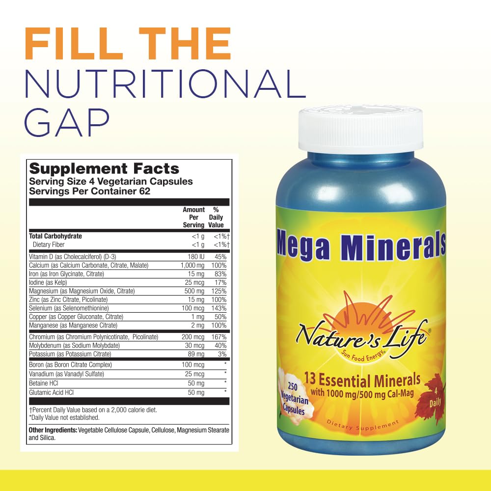 Nature's Life Mega Minerals Complex | Complete Multi Mineral + Vitamin D3 | 250 Vegetarian Capsules