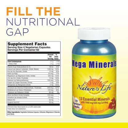 Nature's Life Mega Minerals Complex | Complete Multi Mineral + Vitamin D3 | 250 Vegetarian Capsules