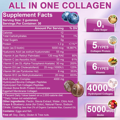 Nature's live Multi Collagen Peptides Gummies – Type I, II, III, V, X | 60 Count | Grape Blueberry Flavor