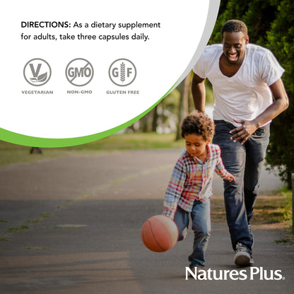 Nature's Plus BrainCeutix Multivitamin Capsules – 90 Capsules (30 Servings) – Supports Cognition, Focus & Memory – Vegan, Gluten Free, Non-GMO