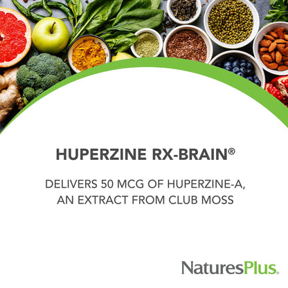 Natures Plus Huperzine Rx-Brain – 50 mcg, 30 Vegetarian Tablets for Brain Support