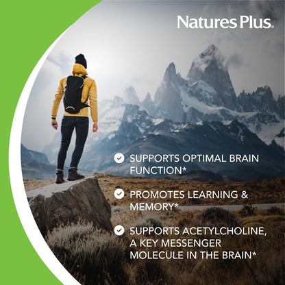 Natures Plus Huperzine Rx-Brain – 50 mcg, 30 Vegetarian Tablets for Brain Support