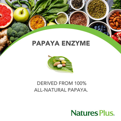 Natures Plus Papaya Enzyme – 6 mg Papain, Amylase & Protease | 360 Chewable Tablets