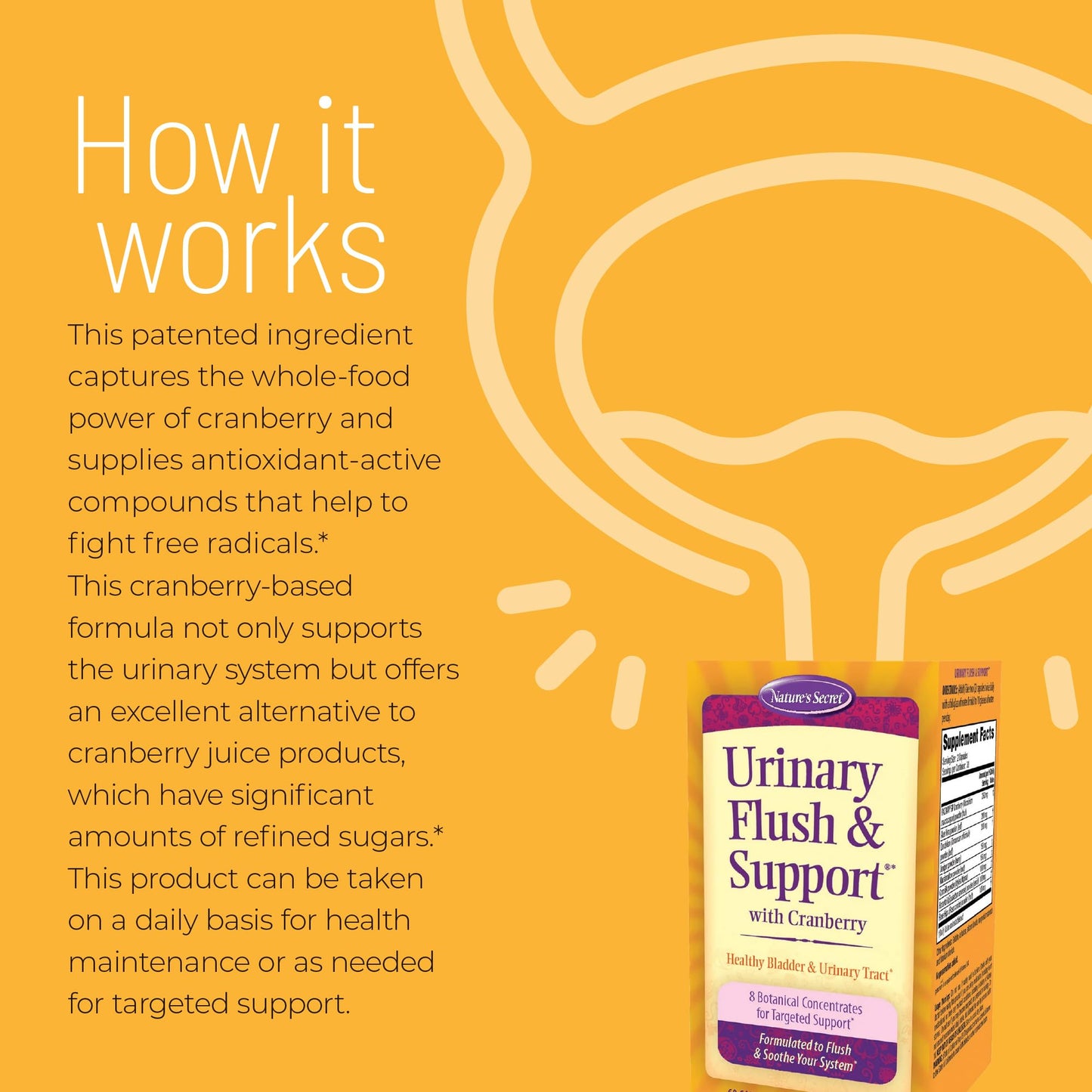 Nature's Secret Urinary Flush & Support with Cranberry – 8 Botanicals