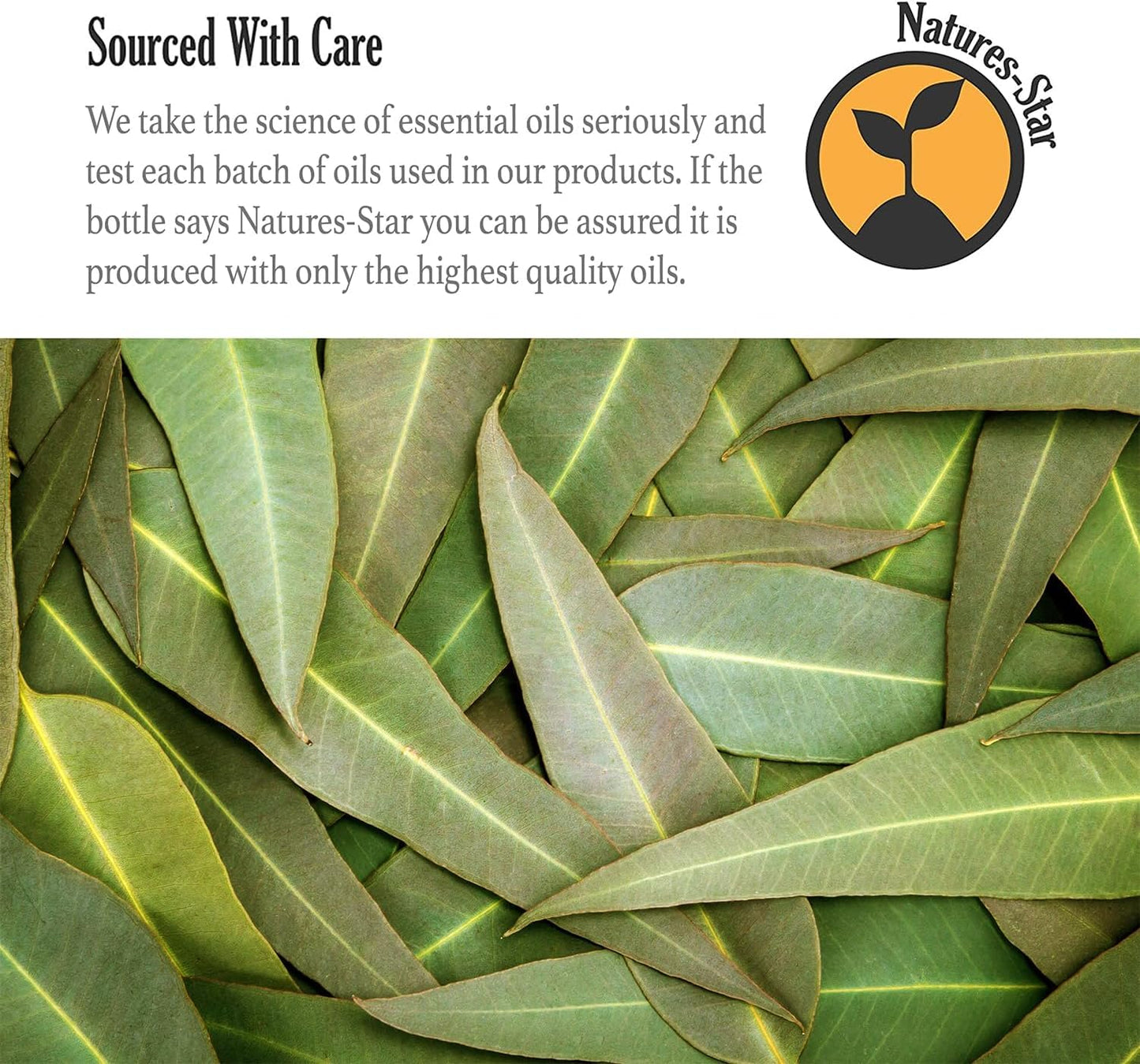 Natures-Star 16 oz Eucalyptus Essential Oil – 16 Fl Oz (Pack of 2)
