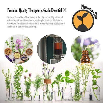 Natures-Star Lavender Essential Oil 16oz – Therapeutic Grade for Aromatherapy, Candles & Soaps