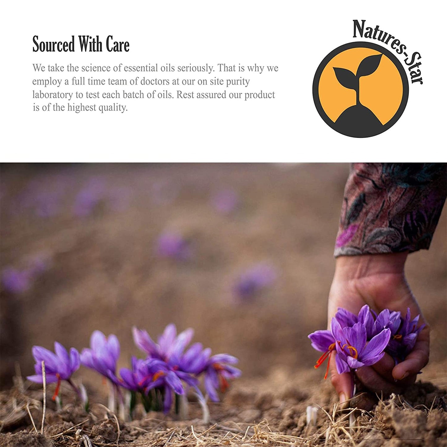 Natures-Star Lavender Essential Oil 16oz – Therapeutic Grade for Aromatherapy, Candles & Soaps