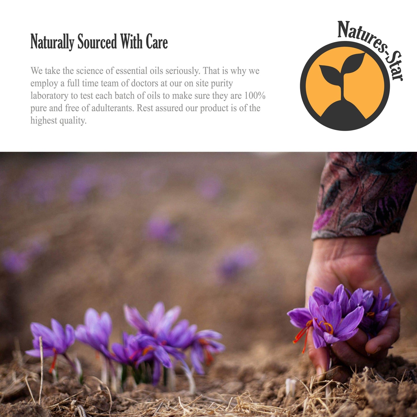 Natures-Star Tea Tree Essential Oil 16 Oz – Therapeutic Grade for Aromatherapy, Diffuser, Soap & Candle Making