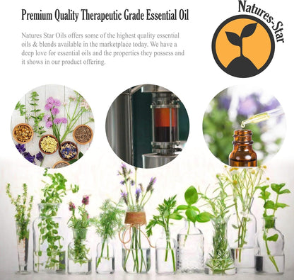 Natures-Star 16oz Tea Tree Essential Oil - Bulk Size, Therapeutic Grade, 16 Fl Oz Bottle