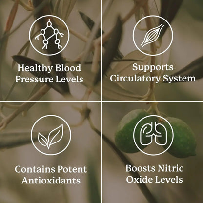 Nature's Sunshine Blood Pressurex 60 Capsules – Supports Normal Blood Pressure Range BritishVita | Premium UK Vitamins & Wellness Supplements