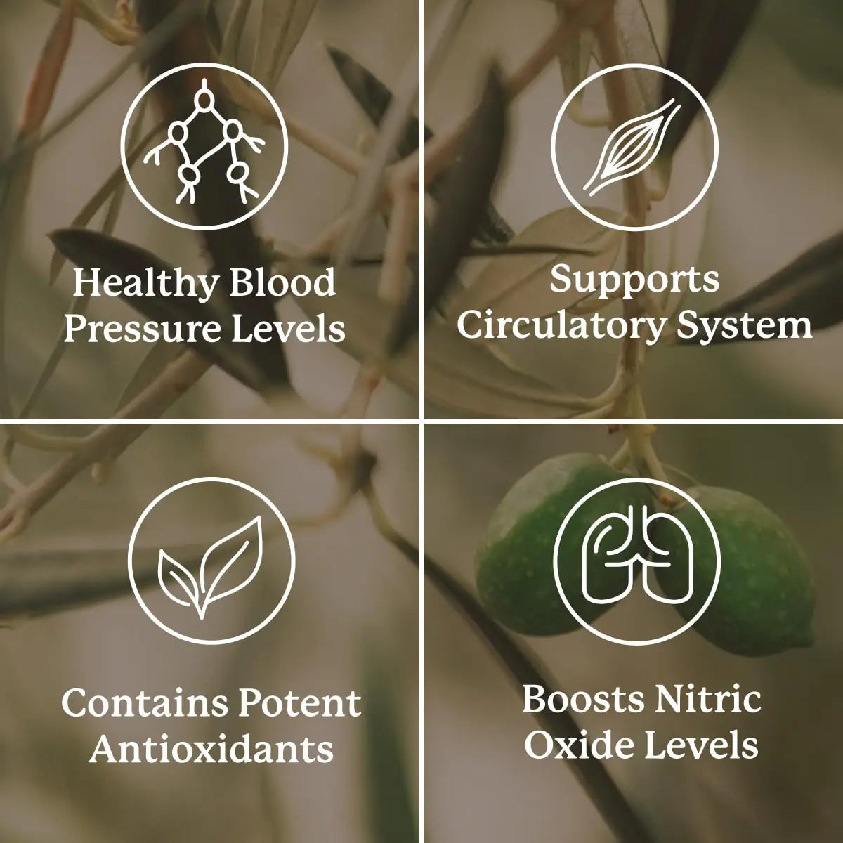 Nature's Sunshine Blood Pressurex 60 Capsules – Supports Normal Blood Pressure Range BritishVita | Premium UK Vitamins & Wellness Supplements