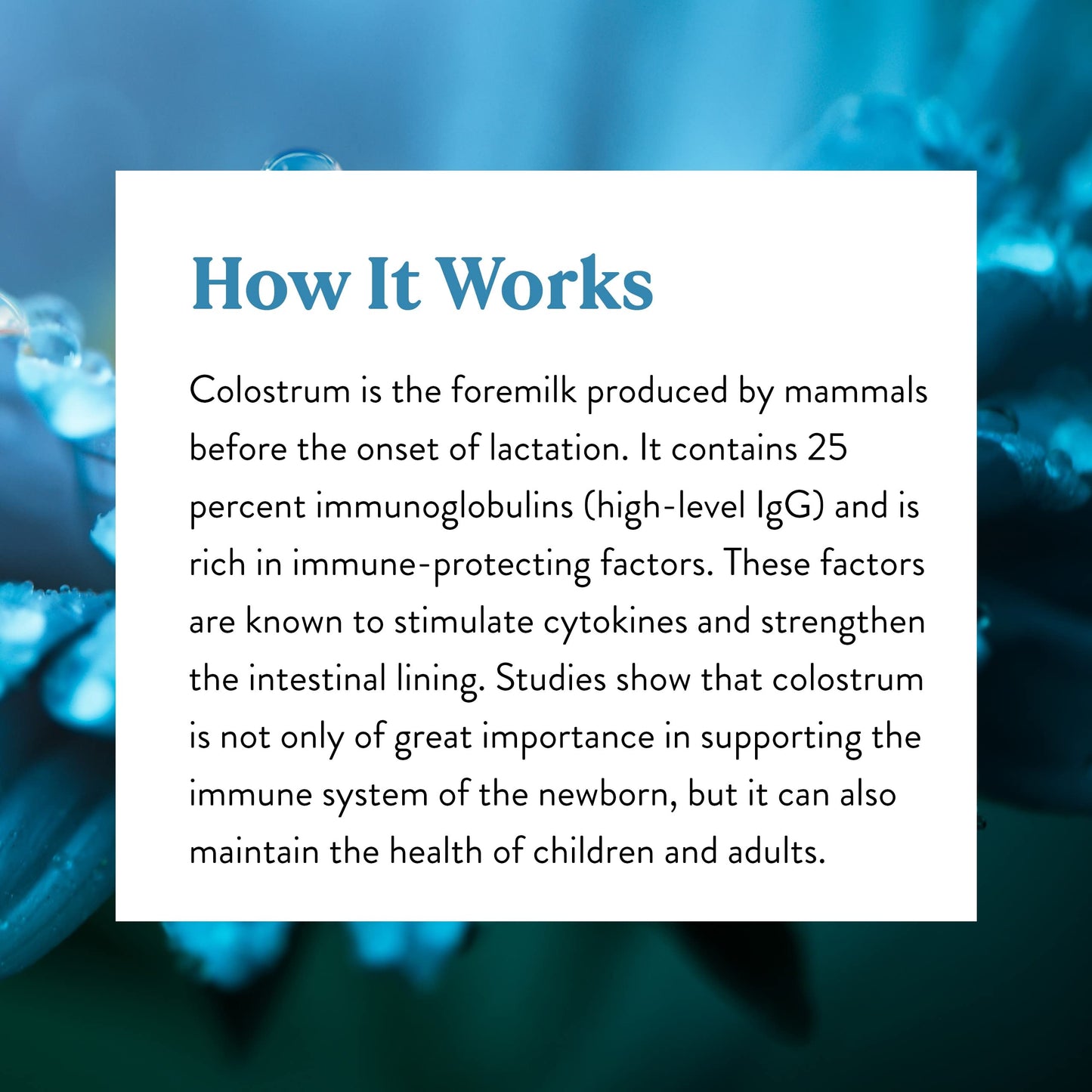 Nature's Sunshine Colostrum with Immune Factors - 60 Capsules | Immune & Gut Health