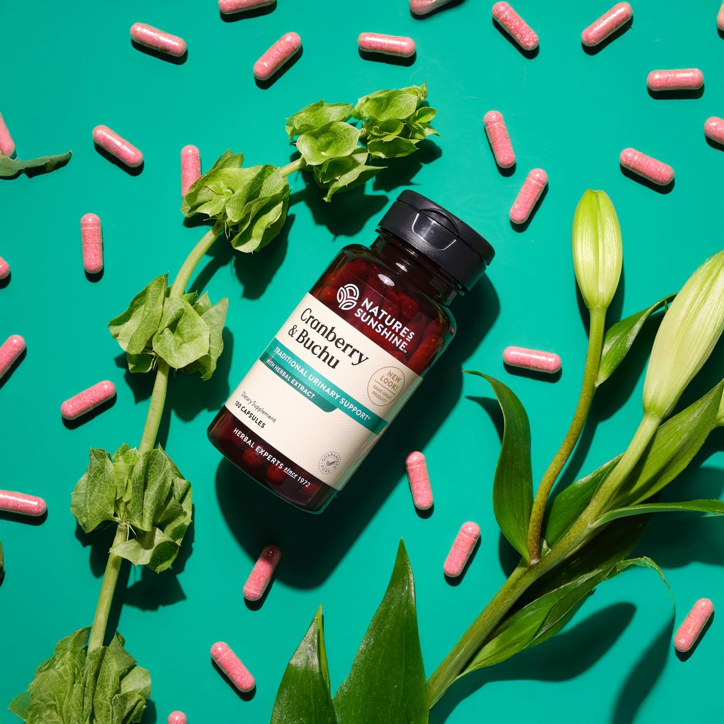 Nature's Sunshine Cranberry & Buchu Concentrate 100 Capsules | Urinary Health