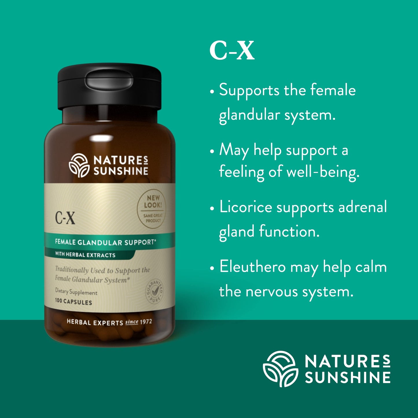 Nature's Sunshine C-X (100) - Vitamin C 100 mg - Immune Support