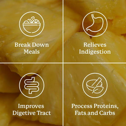 Nature's Sunshine Food Enzymes - Digestive Support with Prebiotics and Probiotics
