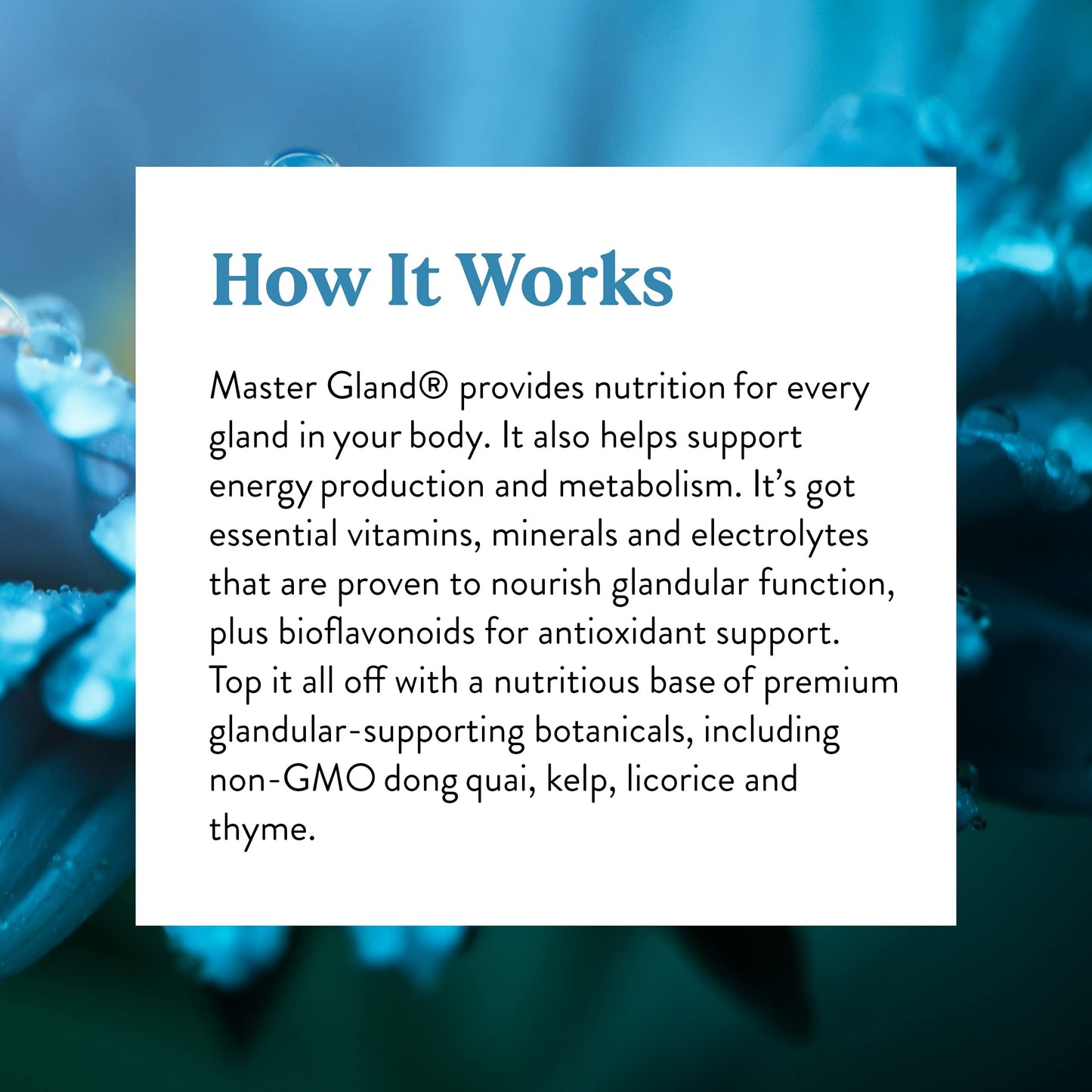 Nature's Sunshine Master Gland - 120 Capsules | Complete Nutritional Support for Every Gland & Energy Metabolism