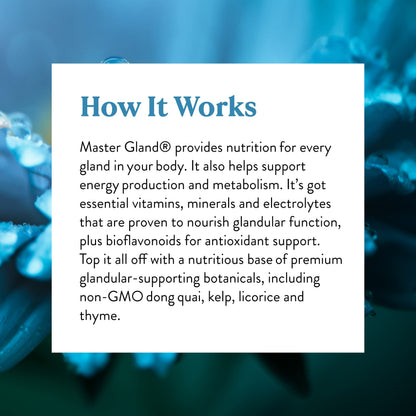 Nature's Sunshine Master Gland - 120 Capsules | Complete Nutritional Support for Every Gland & Energy Metabolism