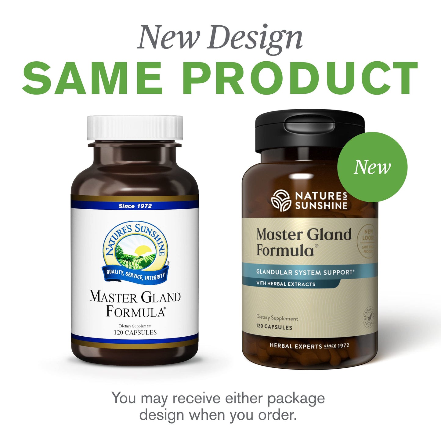 Nature's Sunshine Master Gland - 120 Capsules | Complete Nutritional Support for Every Gland & Energy Metabolism