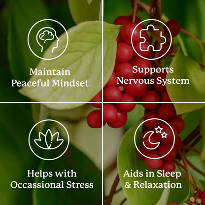 Nature's Sunshine Nutri-Calm – Herbal Stress Relief & Mood Support Supplement (100 Count) BritishVita | Premium UK Vitamins & Wellness Supplements