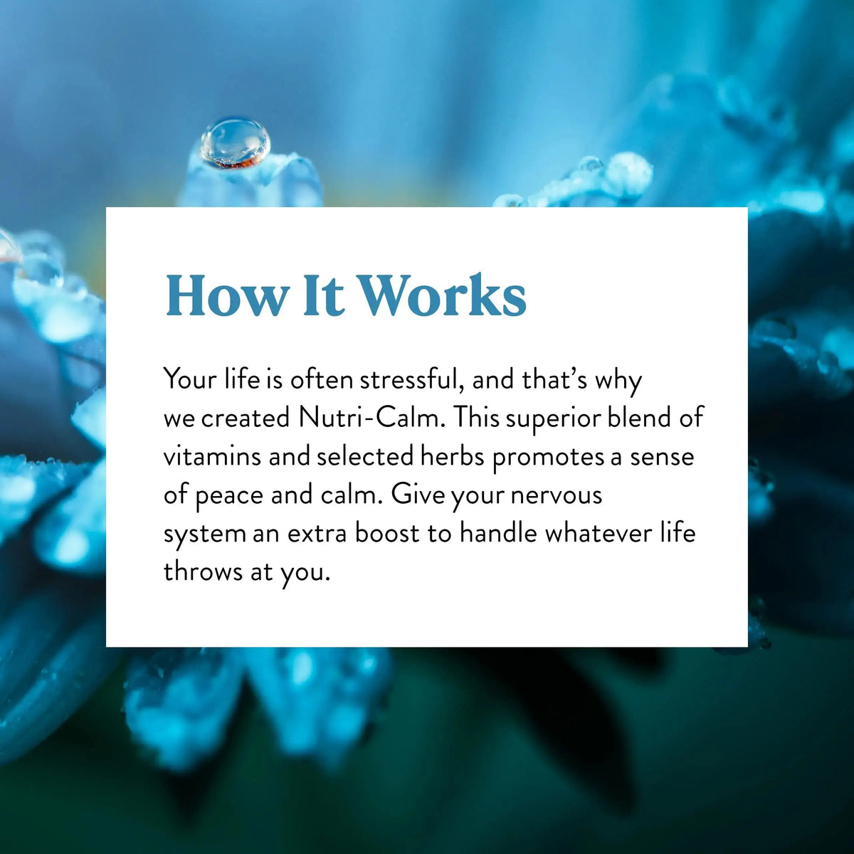 Nature's Sunshine Nutri-Calm – 60 Tablets | Natural Calm Support BritishVita | Premium UK Vitamins & Wellness Supplements