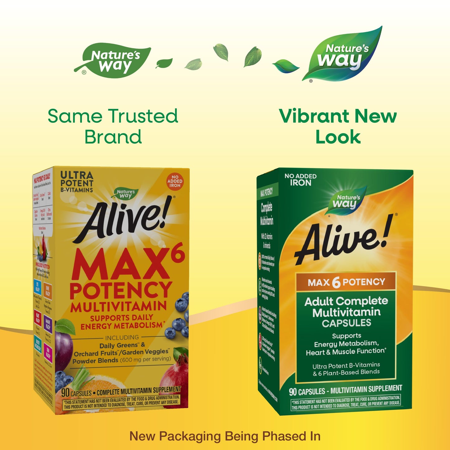 Nature's Way Alive! Max6 Potency Adult Complete Multivitamin – 22 Vitamins, 6 Plant Blends, No Added Iron | 90 Capsules