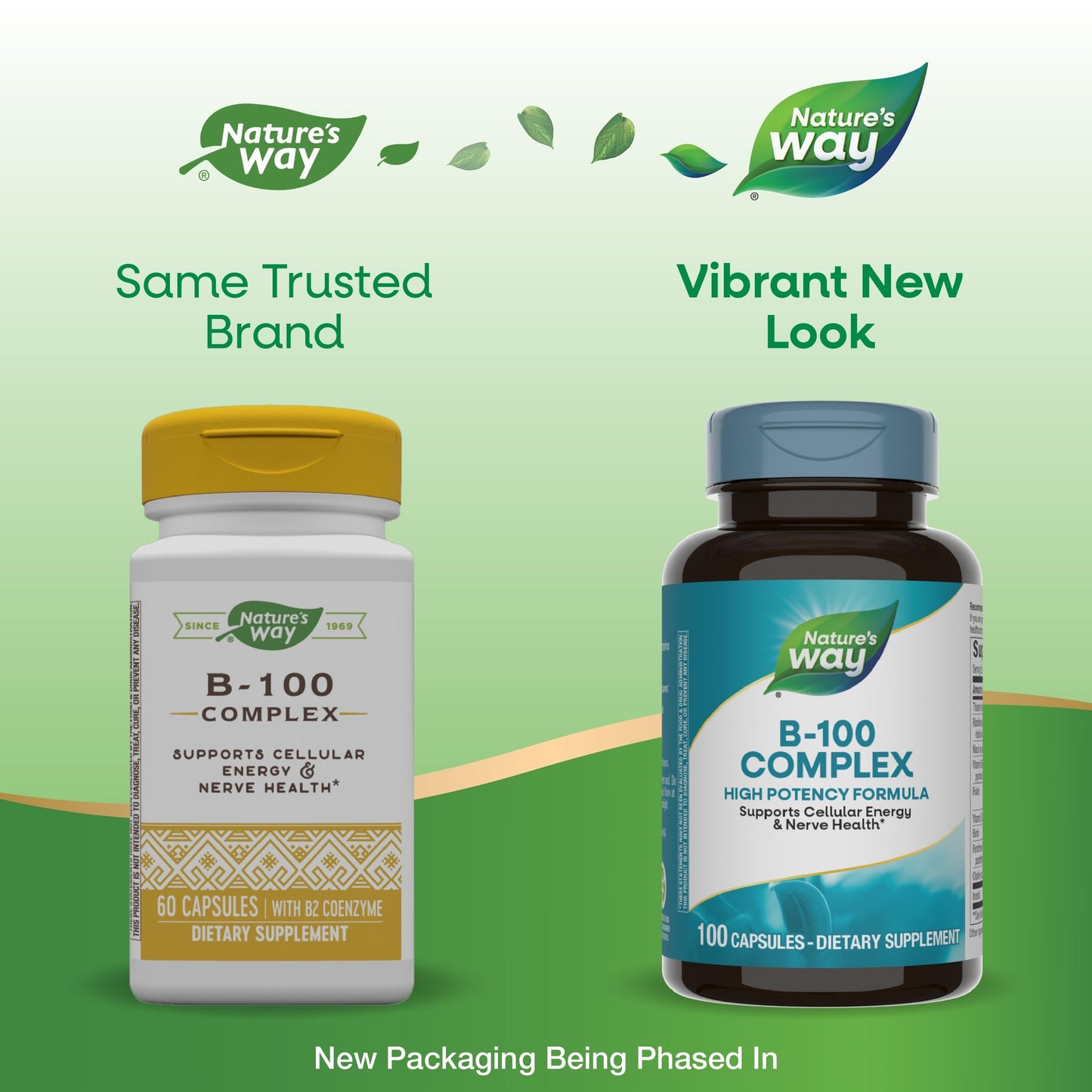Nature's Way B-100 Complex | 8 B-Vitamins for Energy & Nerve Health