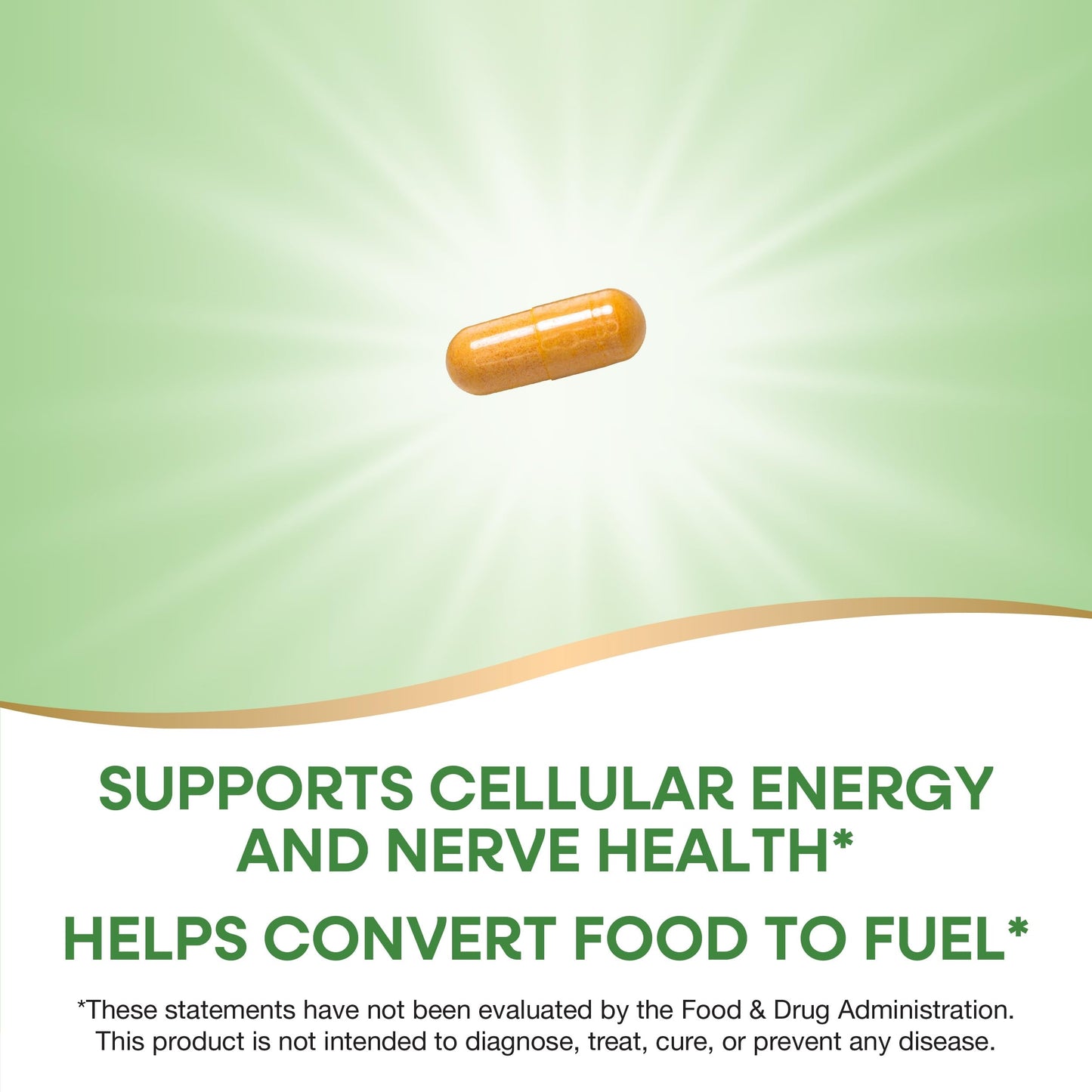 Nature's Way B-100 Complex | 8 B-Vitamins for Energy & Nerve Health