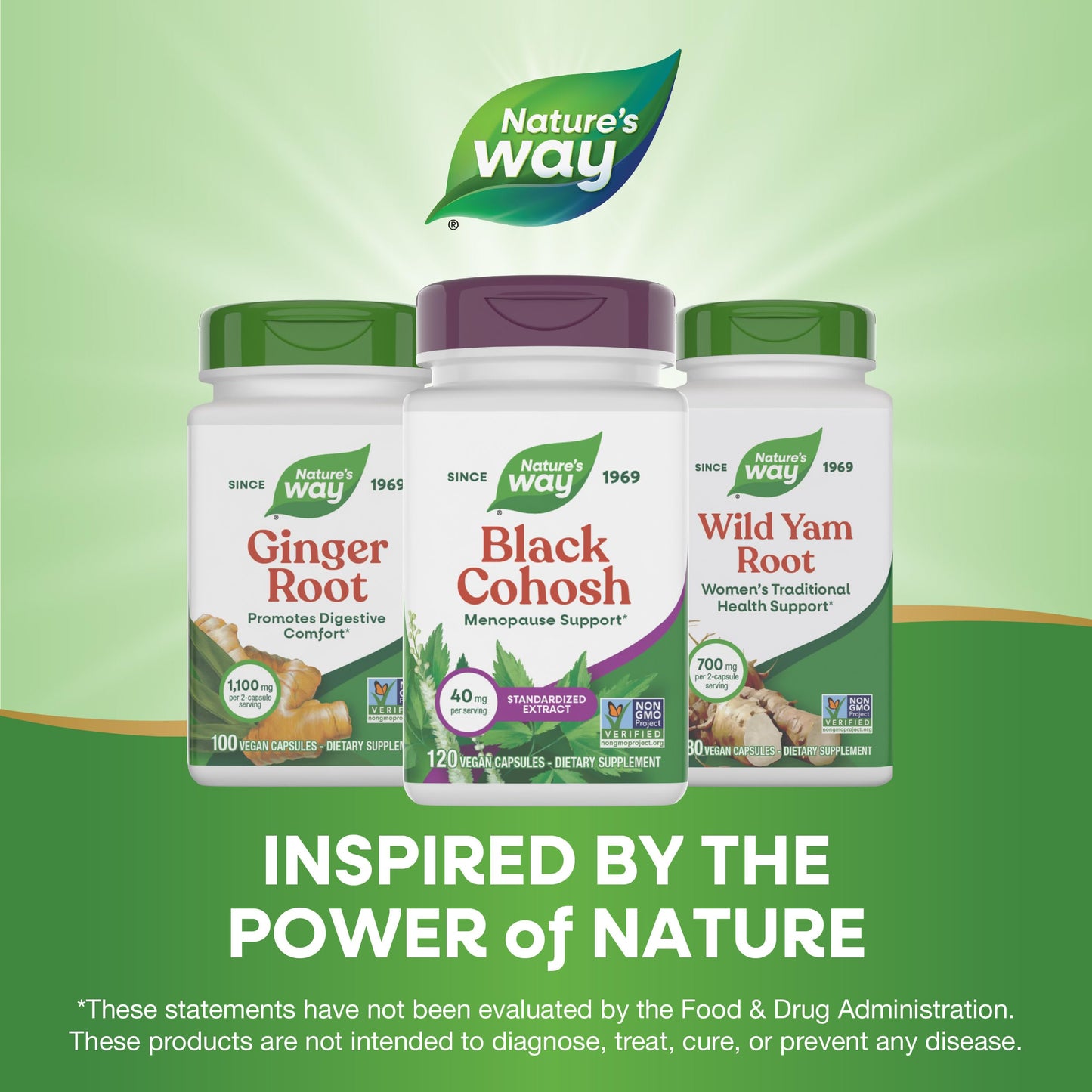 Nature's Way Premium Black Cohosh - Menopause Support for Women, 40 mg per Serving, 120 Vegan Capsules