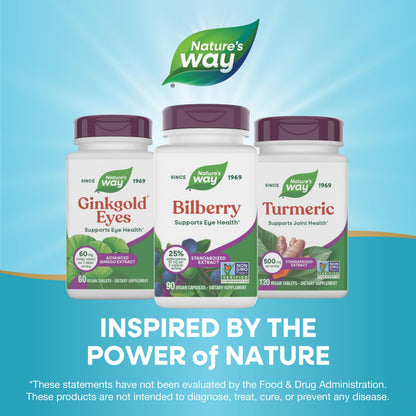 Nature's Way Bilberry Premium Extract - Eye Health Support, 90 Capsules