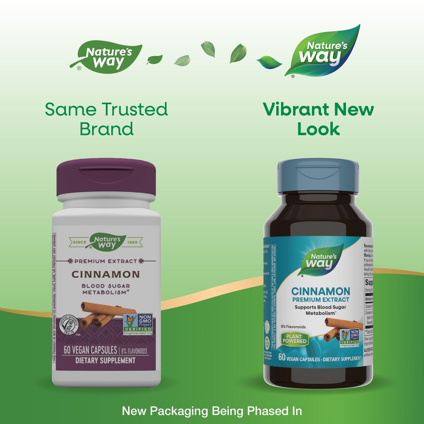 Nature's Way Cinnamon Premium Extract 8% Flavonoids - 60 Vcaps (Pack of 2)