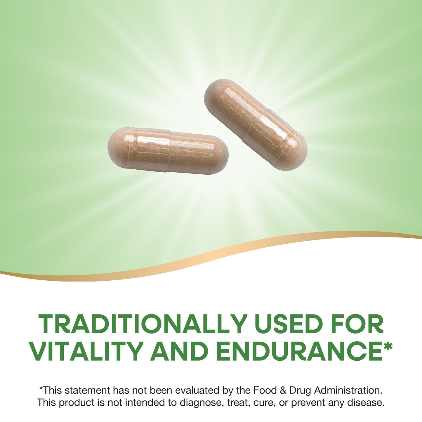 Nature's Way Cordyceps Premium Herbal 1,000 mg – Vitality & Endurance (Gluten Free)