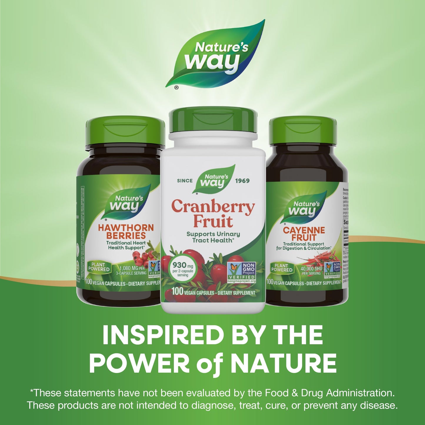 Nature's Way Cranberry Fruit Cranberry Supplements - Supports Urinary Tract Health - 930 mg per 2-Capsule Serving