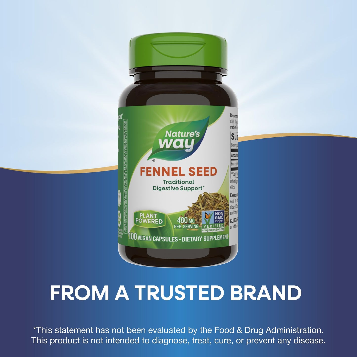 Nature's Way Fennel Seed – Digestive Support, 480 mg, 100 Capsules