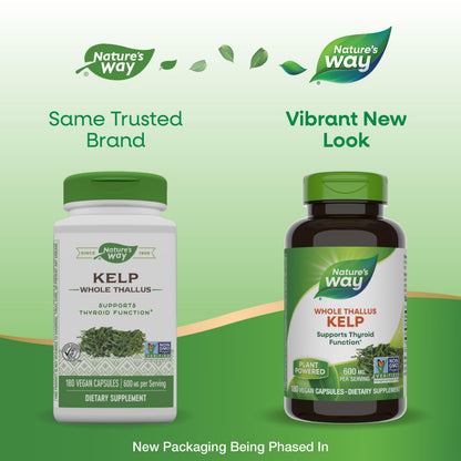 Nature's Way Kelp 600 mg - Supports Thyroid Function - 180 Capsules | Non-GMO Project Verified