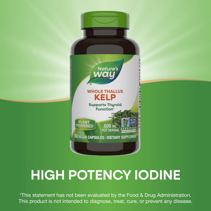 Nature's Way Kelp 600 mg - Supports Thyroid Function - 180 Capsules | Non-GMO Project Verified