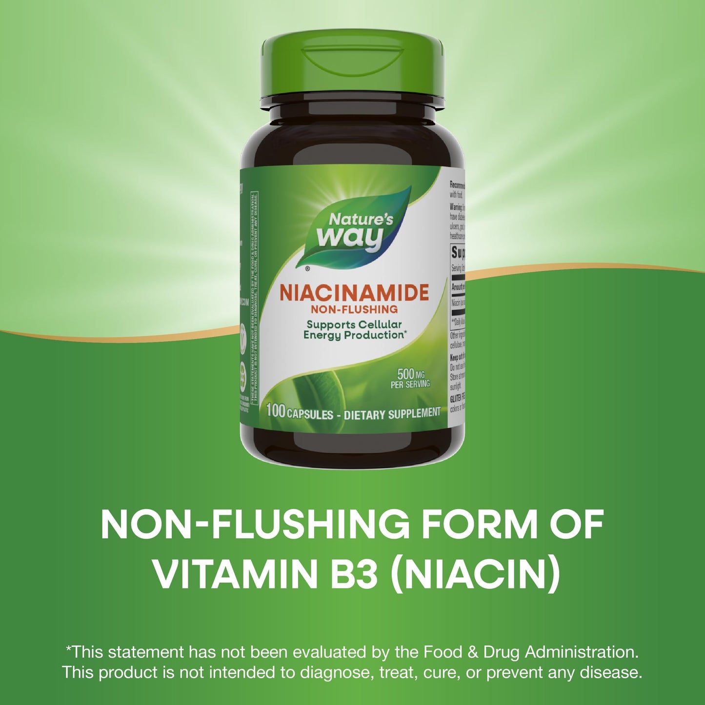 Nature's Way Niacinamide - Non-Flushing Vitamin B3 500 mg, 100 Capsules
