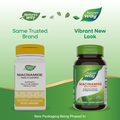Nature's Way Niacinamide - Non-Flushing Vitamin B3 500 mg, 100 Capsules